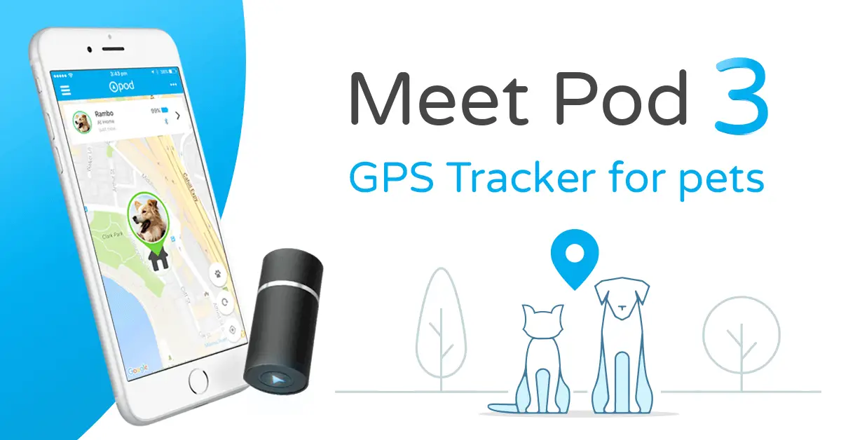 The Best GPS Cat Tracker Devices of 2018 Complete Buyer's Guide & Pet Tracker Reviews Tuxedo Cat