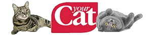 the your cat blog logo