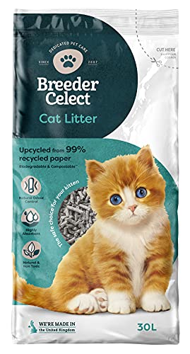 best cat litter that doesn't track uk