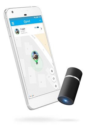 14 Of The Best Cat Trackers 2019 - GPS & Radio Trackers