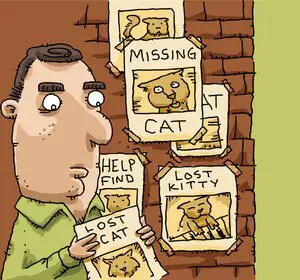lost cat poster