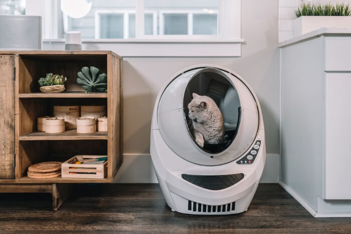 a self cleaning litter box