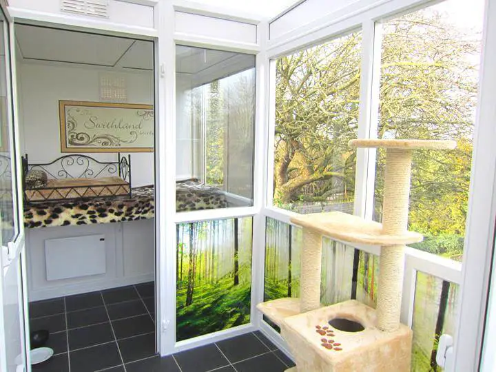 A view of a cat suite at bradgate view luxury cattery