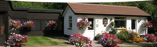 the pinewood cattery cottage and garden with flowers