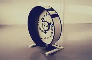 A bespoke Maclaw cat wheel