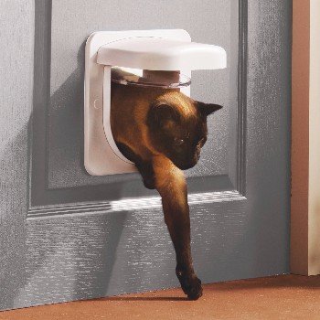 cat flap microchip timer