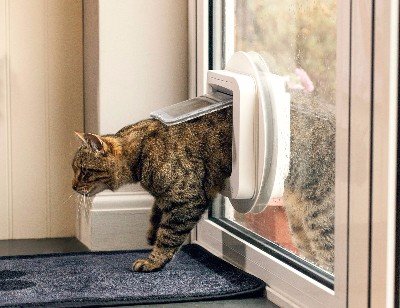 wickes cat flap