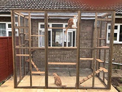 4 wire catio