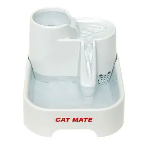 Cat mate drinking fountain