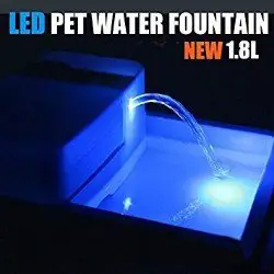 LED pet water fountain in action in the dark