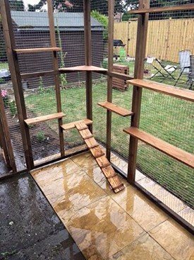 catio shelves