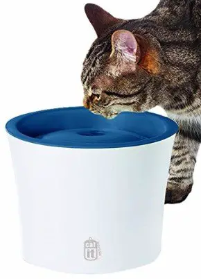 the catit senses 3 water fountain
