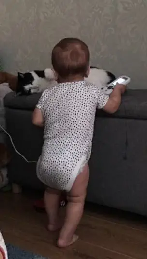 curious baby looking at a black and white cat