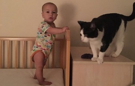 baby caleb standing on the bed playing with whisky the cat