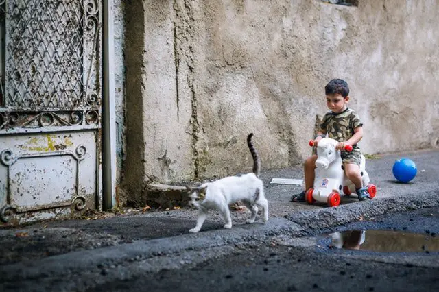 a child following a cat while sat on a horse toy with wheels
