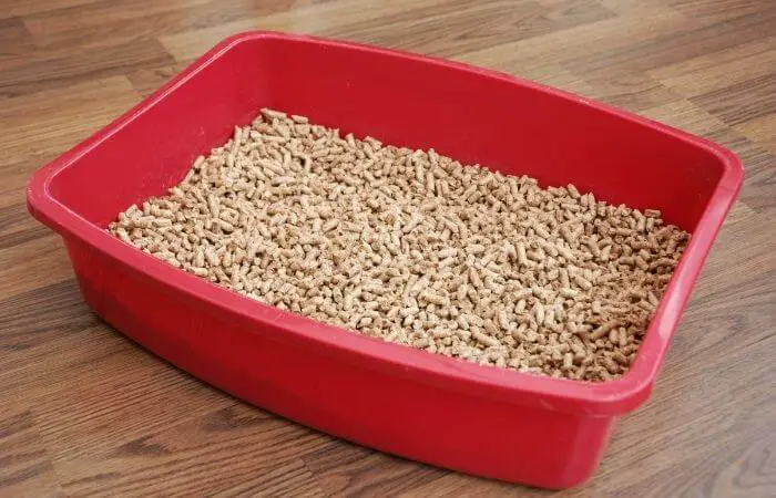 corn based cat litter