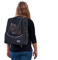 a cat backpack