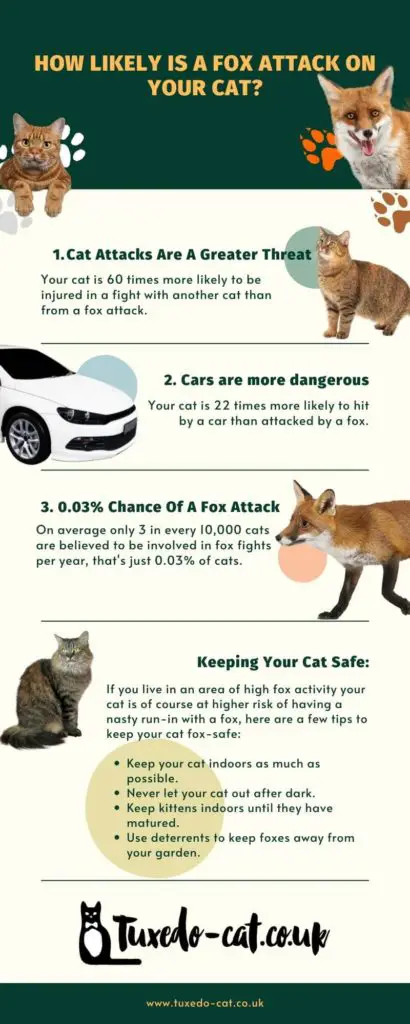 fox attack likelihood infographic