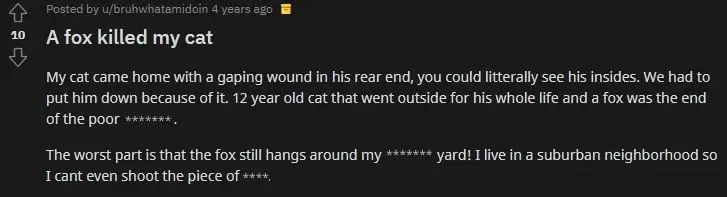 reddit user fox attack on cat story