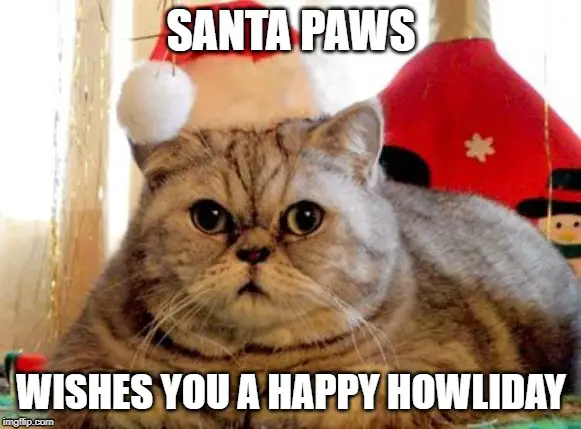 santa paws wishes you a happy howliday