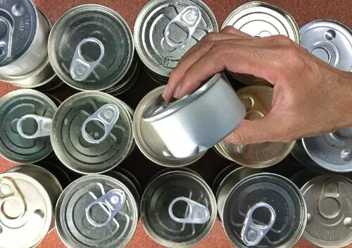 tinned tuna can