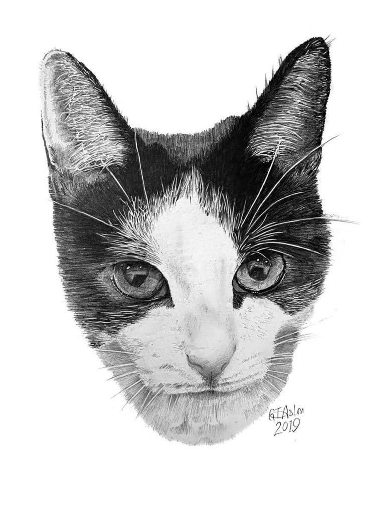 Our very own Whisky, a pencil drawing drawn by Garry Aston from www.garryspencildrawings.co.uk