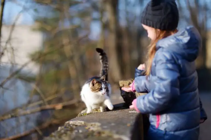 outdoor cat meets girl