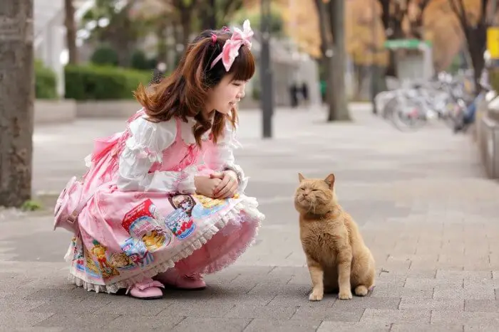 girl in fancy dress saying hello to cat