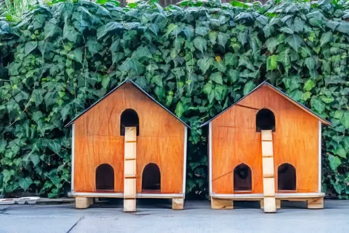 two cat huts in the garden both with multimple entry and exit points