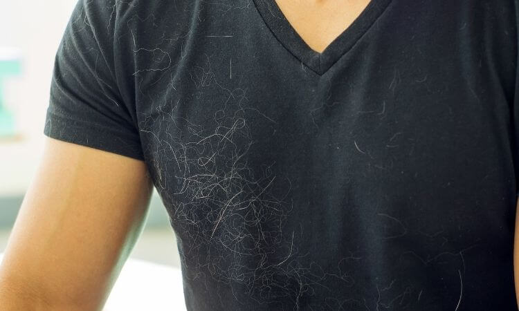 cat hair stuck to t-shirt