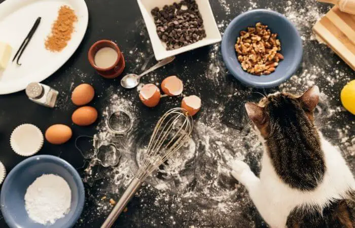 you can make cat treats at home