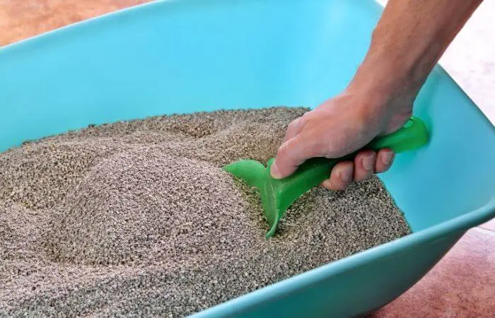 litter box cleaning