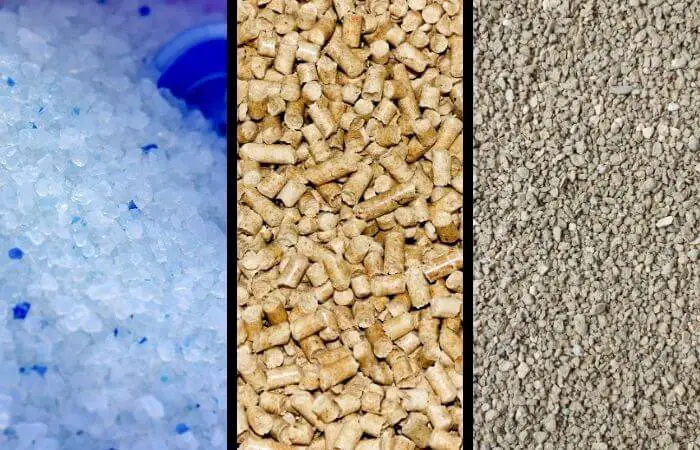 three different cat litter types side by side