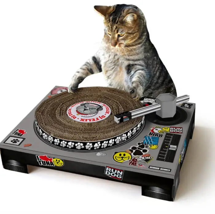 cat dj scratch deck