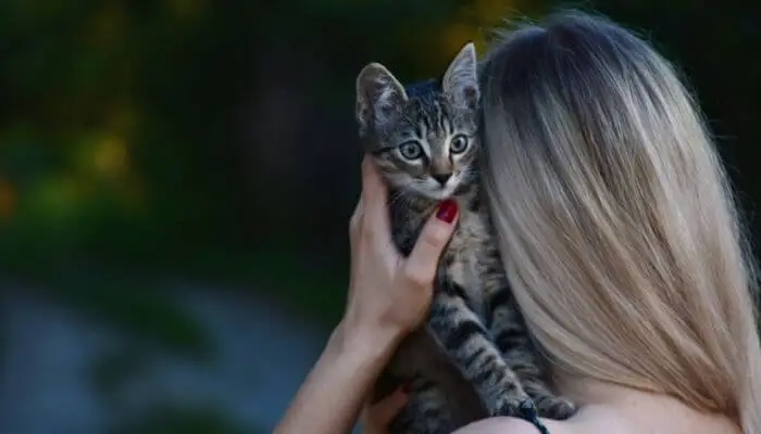cat owner hugging cat