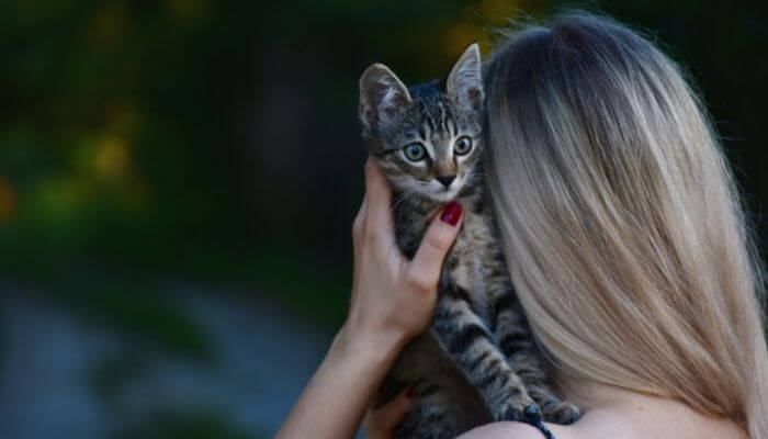 cat owner hugging cat