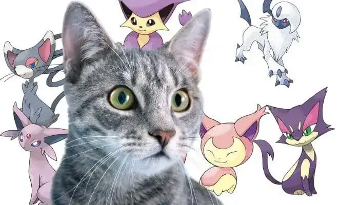 Cat Pokemon 38 Cat Like Pokemon Tuxedo Cat Cat Pokemon 38 Cat Like Pokemon Tuxedo Cat