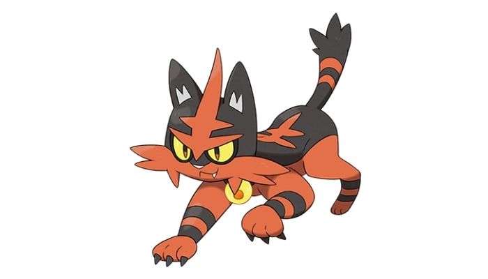 torracat