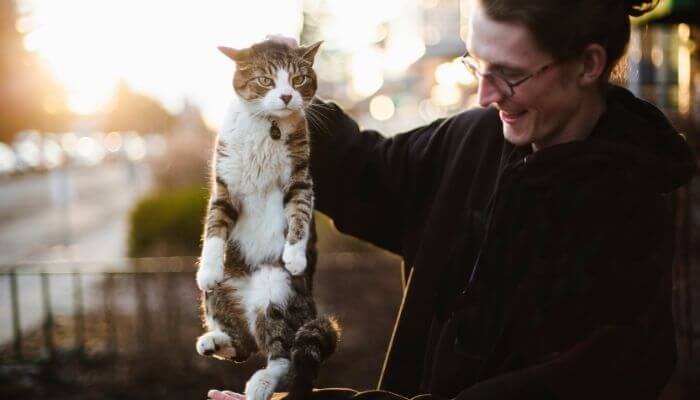 cat being held by it's scruff