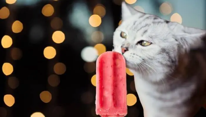 can cats eat popsicles