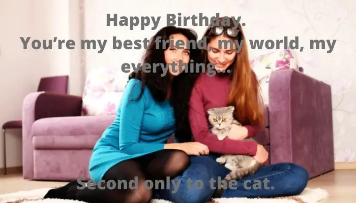 Happy Birthday. You’re my best friend, my world, my everything… Second only to the cat.
