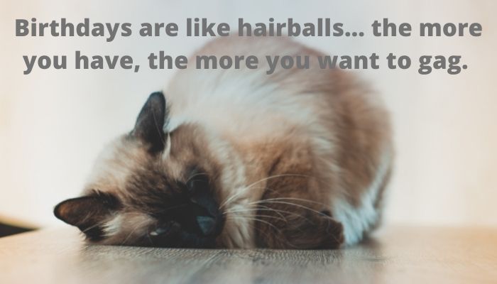 Birthdays are like hairballs… the more you have, the more you want to gag.