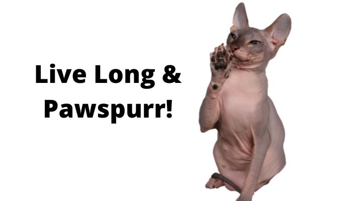 Live Long & Pawspurr.