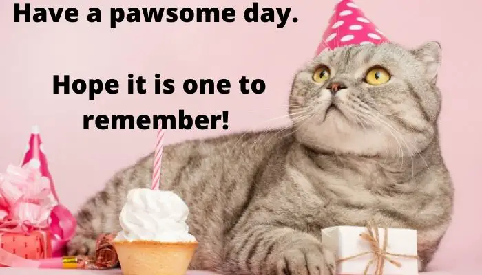 Have a pawsome day. Hope it is one to remember. 