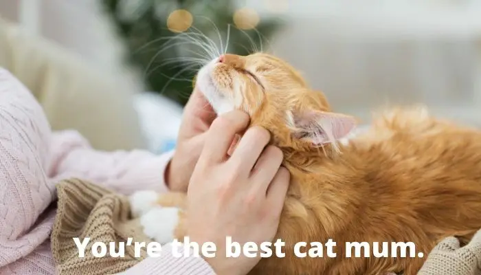 You’re the best cat mum.
