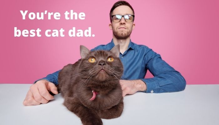 You’re the best cat dad.  