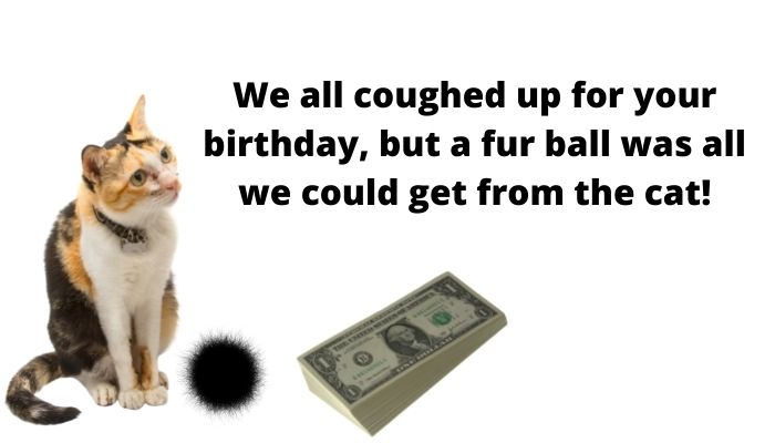 We all coughed up for your birthday, but a fur ball was all we could get from the kitty. 