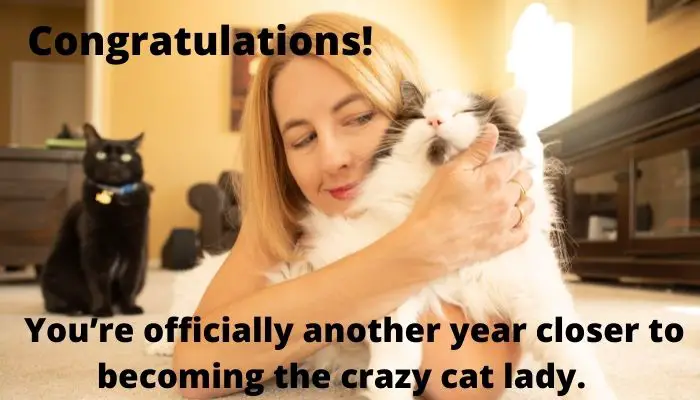 Congratulations! You’re officially another year closer to becoming the crazy cat lady.  