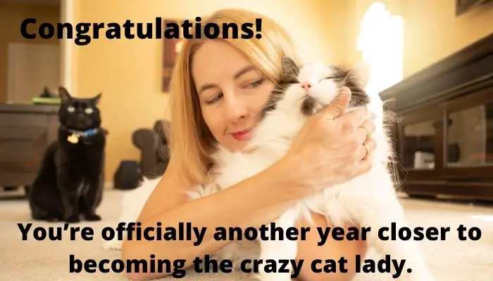 Congratulations! You’re officially another year closer to becoming the crazy cat lady.