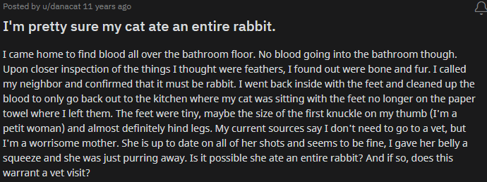 my cat ate an entire rabbit